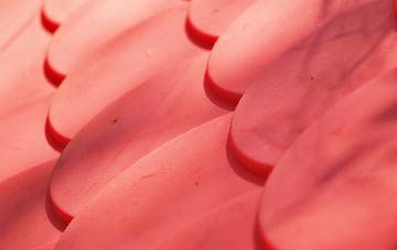 Salta plastic roof costs