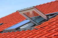 Salta roof window