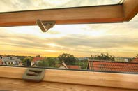 rated Salta roof window companies